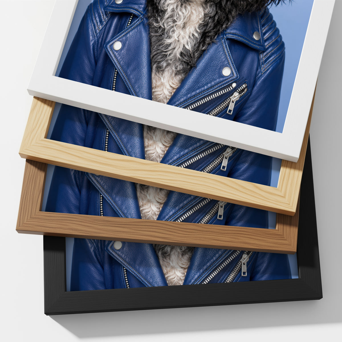 Curly haired dog in a blue leather jacket shown through layered wooden picture frames