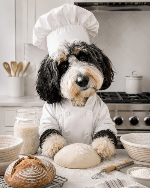 A black and cream dog wearing a white chef hat and chef coat stands behind a counter with flour, a loaf of bread, bowls, and kitchen items in a bright kitchen setting.