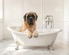 Custom pet portrait of a mastiff relaxing in a white clawfoot bathtub in a bright marble bathroom