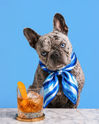 A French bulldog wearing a blue and white striped silk necktie sits behind a glass of amber cocktail with an orange peel on a marble surface, set against a solid blue background.