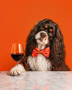 Photorealistic custom pet portrait of a Cavalier King Charles Spaniel wearing a bow tie beside a glass of red wine
