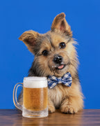 Photorealistic custom pet portrait of a scruffy dog wearing a blue plaid bow tie beside a frothy beer mug