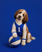 Custom pet portrait of a curly coated dog in a blue number 1 jersey resting a paw on a basketball against a blue background