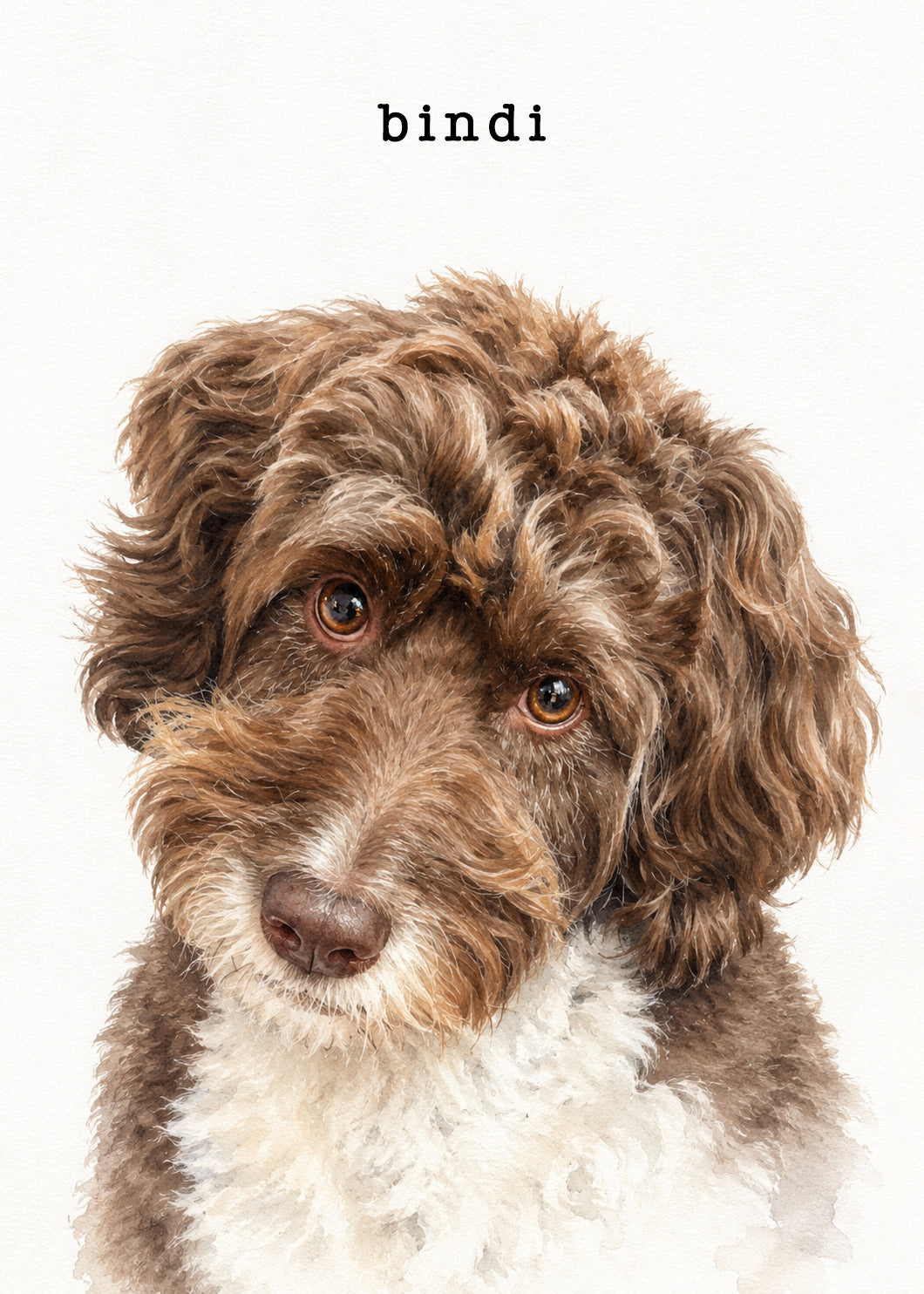 Illustrative custom pet portrait of Bindi a curly brown and white dog with soulful eyes and a fluffy coat