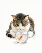 Illustrative custom pet portrait of a tabby cat watching a goldfish in a glass bowl on a white background