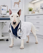Realistic custom pet portrait of a Bull Terrier dressed as a veterinarian in a modern animal clinic from The Pawfessional