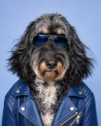 Photorealistic custom pet portrait of a shaggy black and gray dog wearing sunglasses and a blue leather jacket