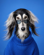 Photorealistic custom pet portrait of a black and white long haired dog wearing sunglasses and a blue sweater