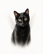 A black cat with small white angel wings around it, shown against a plain white background.