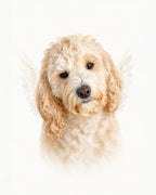 A fluffy cream-colored dog portrait with soft white wings behind it, centered on a plain white background.