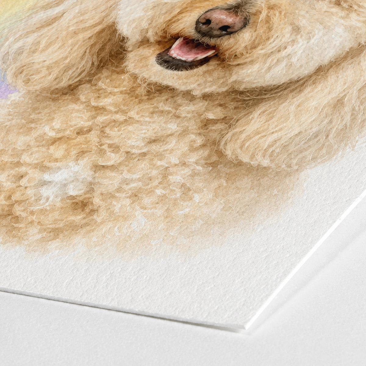 Close up of a cream curly haired dog in a personalized pet art portrait on textured paper